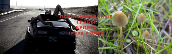 гашиш Алексеевка