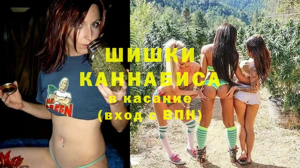сатива Приозерск
